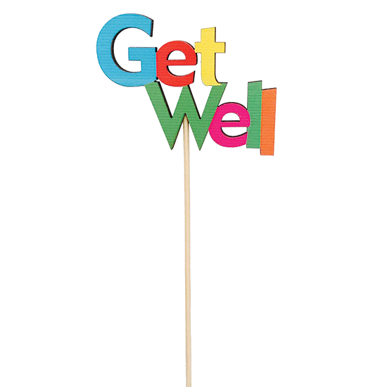 Picture of Get Well Pick