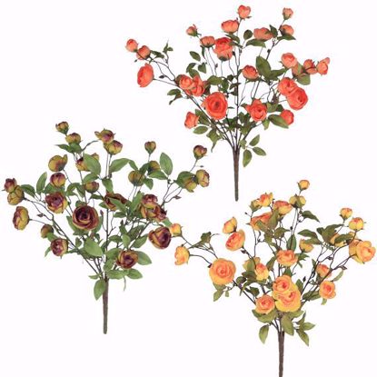 Picture of Fall Colors Mini Ranunculus Bush (3 colors, 14 Stems, 18")