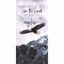 Picture of Eagle Wood Print (Easel)