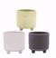 Picture of 3 Asst Matte Gold Trim Planter 3.5"