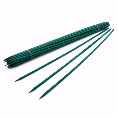 Picture of Plant Stake (Hyacinth Stake) 12"