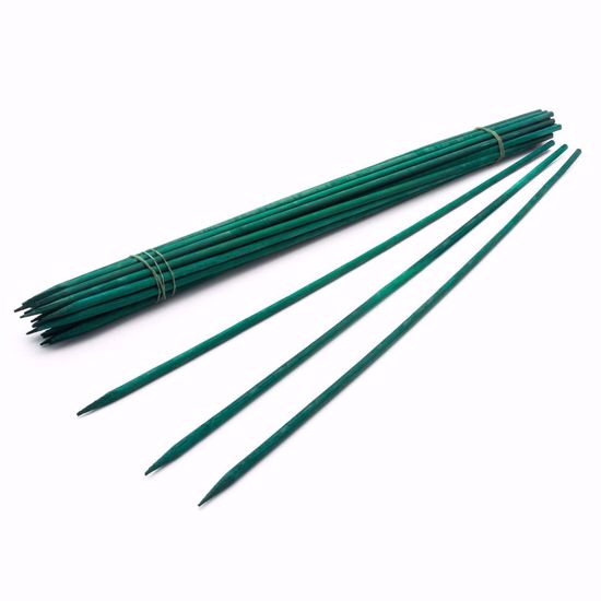 Picture of Plant Stake (Hyacinth Stake) 12"