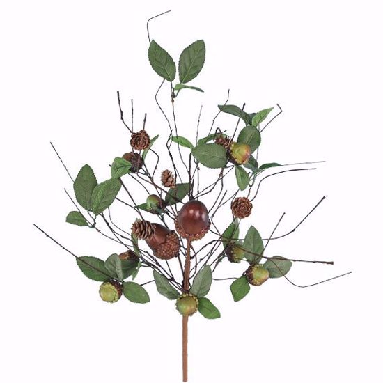 Picture of 22" Acorn Leaved Bush