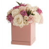 Picture of 4 Asst Pastel Square Planter