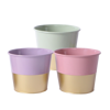 Picture of Pastel Gold Bottom Pot Cover Assortment 4"