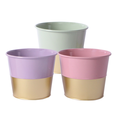 Picture of Pastel Gold Bottom Pot Cover Assortment 5"