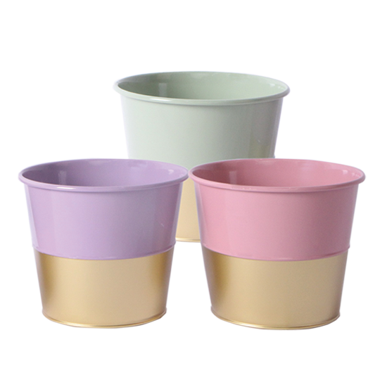 Picture of Pastel Gold Bottom Pot Cover Assortment 5"