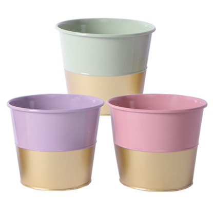 Picture of Pastel Gold Bottom Pot Cover Assortment 6"