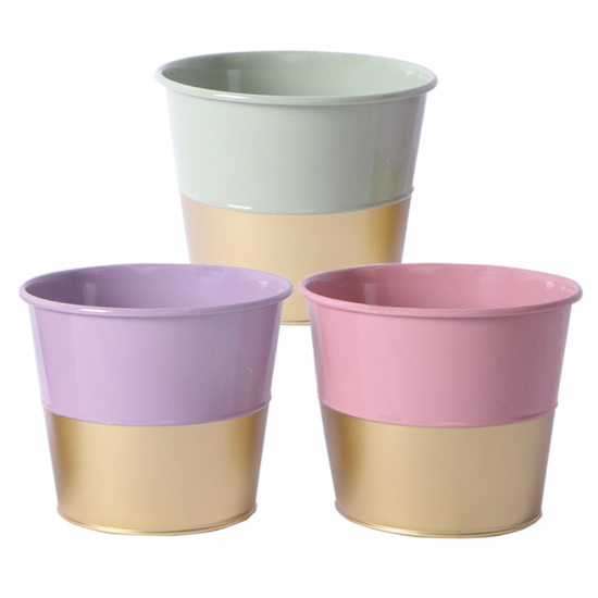 Picture of Pastel Gold Bottom Pot Cover Assortment 6"