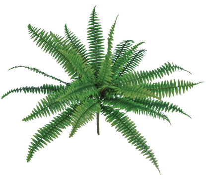 Picture of 20" Real Touch Boston Fern