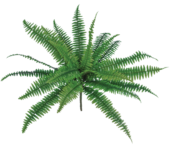 Picture of Real Touch Boston Fern Bush (20" )
