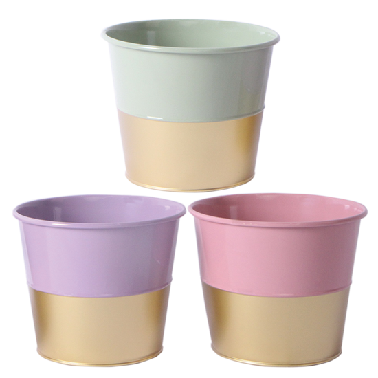 Picture of Pastel Gold Bottom Pot Cover Assortment 8"