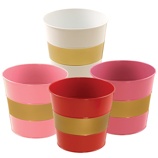 Picture of Pinks, Red and White Gold Banded Pot Cover Assortment  6"