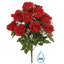 Picture of 20" Red Rose Watertight Bush x 14