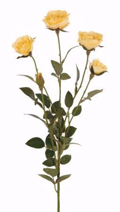 Picture of Yellow Rose Spray (24")