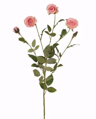 Picture of 24" English Garden Rose Spray