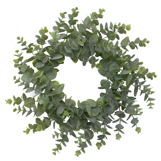Picture of Green Eucalyptus Wreath (Wired, 24")