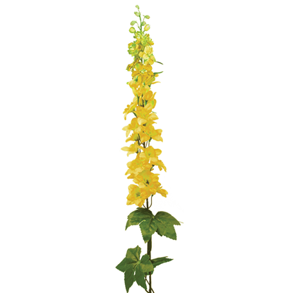 Picture of Yellow Delphinium Spray (36")