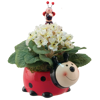 Picture of 2 Asst Bee & Ladybug Planter