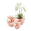 Picture of White Heart Swirl Planter 5"