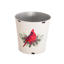 Picture of Cream Cardinal Rustic Pot Cover 4"