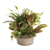 Picture of 3 Asst Metallic Tones Dish Garden 12"