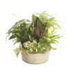 Picture of 3 Asst Metallic Tones Dish Garden 12"