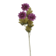 Picture of 21" Zinnia Spray x 3