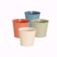 Picture of 4 Asst Cottage Collection Pot Cover 6"