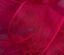 Picture of #9 Deluxe Sheer Wired Ribbon - Fuchsia