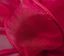 Picture of #9 Deluxe Sheer Wired Ribbon - Madam Red Rose