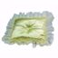 Picture of Oversized Ivory Satin Rectangle With Lace Edge