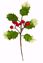 Picture of 10.5" Variegated Holly Pick