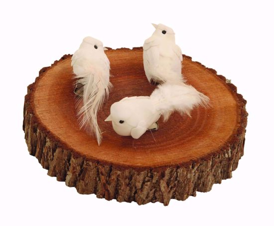 Picture of White Dove (3 Assorted)