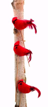 Picture of 5" Red Cardinal Pick