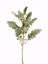 Picture of 17" Flocked Dusty Miller Spray