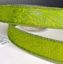 Picture of #9 Embossed Ribbon-Moss Green