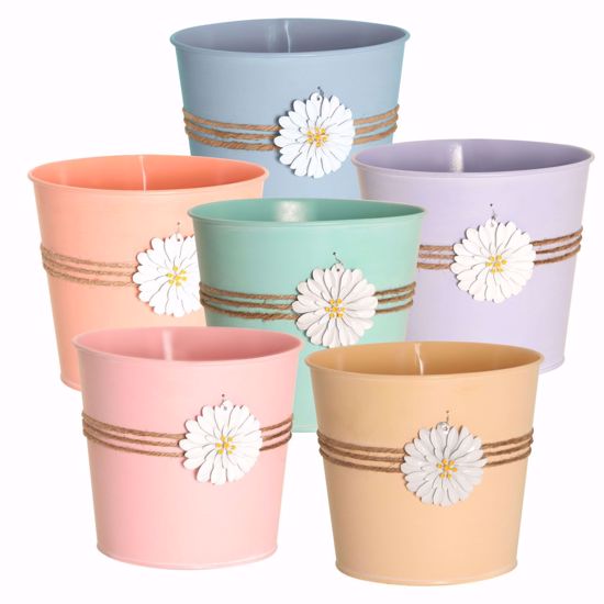 Picture of 6 Asst Daisy Charm Pot Cover 4.5"