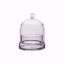 Picture of 4.75"x 6" Terrarium Cloche