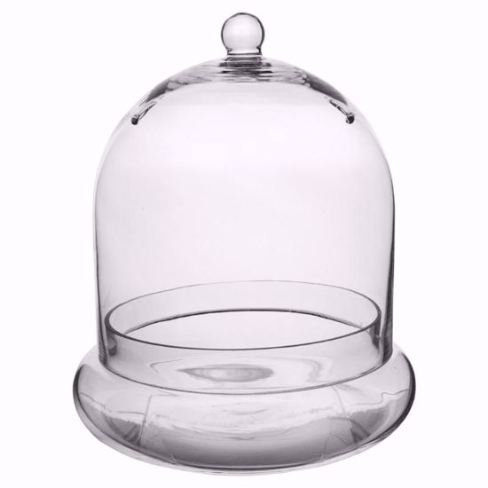 Picture of 10" x 11 3/8" Terrarium Cloche