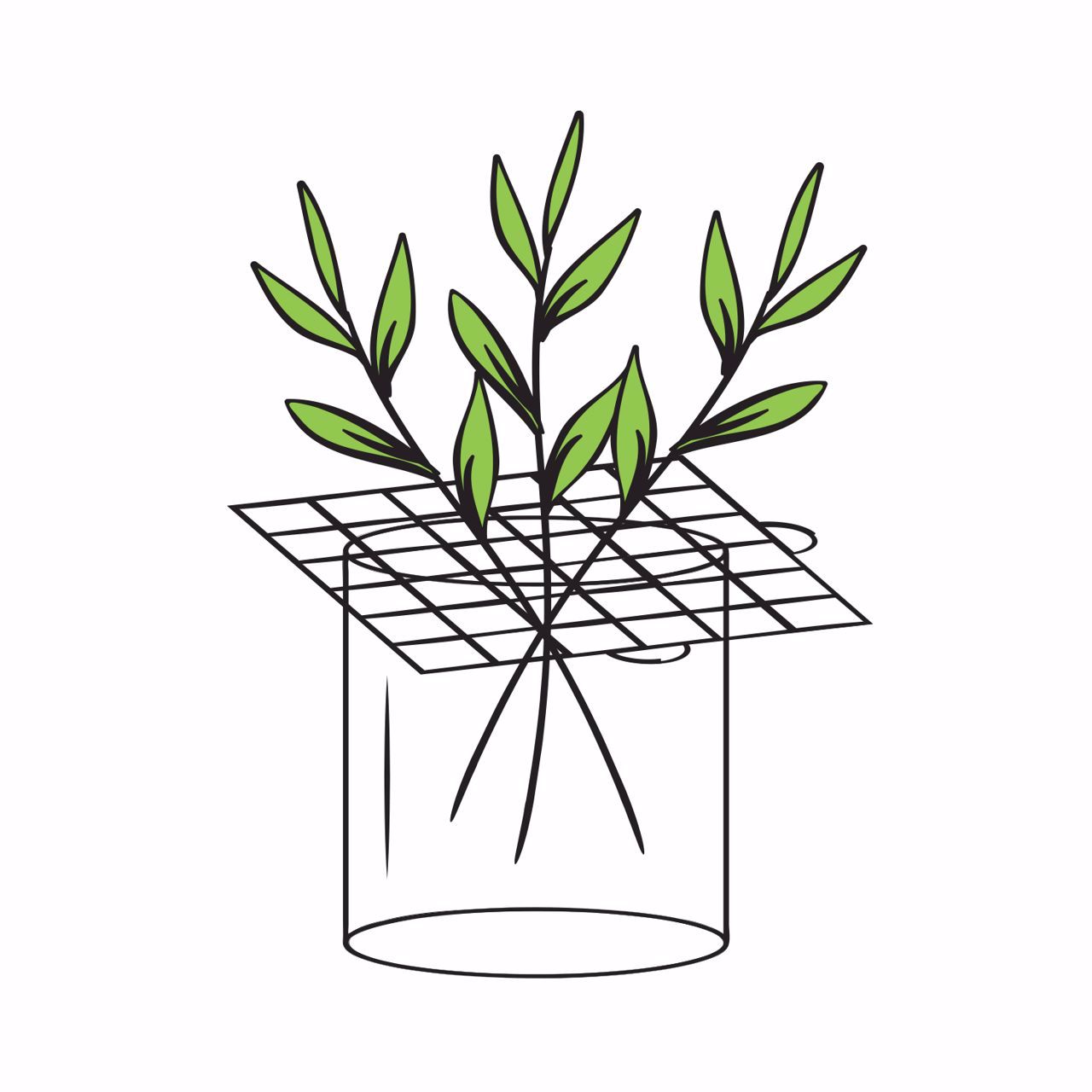 Directfloral Diy Floral Grid Directfloral Diy Floral Grid