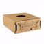 Picture of Buckle Me In Vase Carrier Large - Kraft