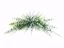 Picture of 32" Eucalyptus Crescent