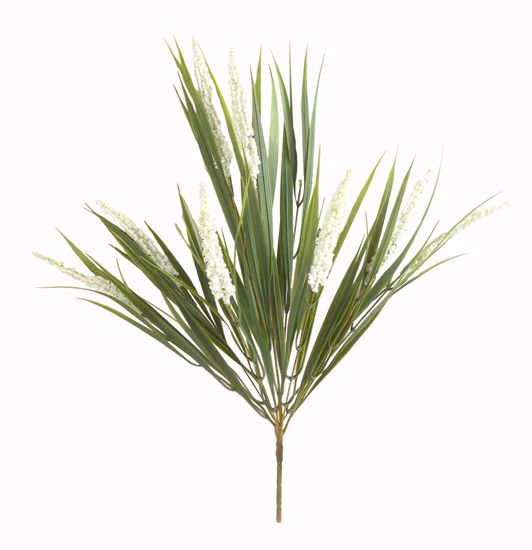 Picture of 21" Cream Millet Bush