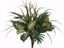 Picture of 20" Long Grass Areca Palm Bush x 9