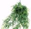 Picture of Baker Fern (28")