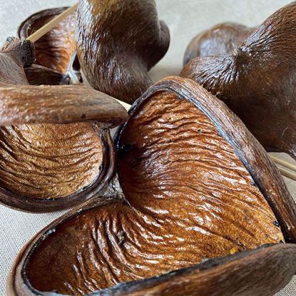 Picture of Badam Nut (Varnished Finish)
