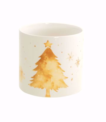 Picture of Golden Pine Pot 5"
