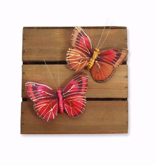 Picture of 2 Asst Natural Butterfly Pick