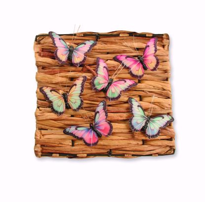Picture of 6 Asst Harmony Butterfly Pick